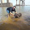 Ariel Gerber - @arielgerber19 - TikTok