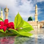 Arif Imam - @arif.imam.963871 - Instagram