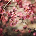 Arif Khalifa - @arifkhalifa7 - Instagram