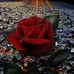 Arif Malick - Facebook