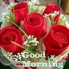 ARIF_OMAR - @ARIF_OMAR - TikTok