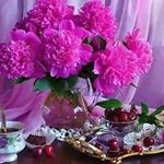 Arif Pardesi - @arif.pardesi.545 - Instagram