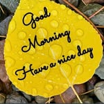 Arif Rizvi - @arif.rizvi.77 - Instagram