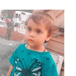 Arif Rizvi - @arifrizvi53 - Instagram