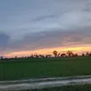 ছটো মেয়ে - @arifsultan57 - TikTok