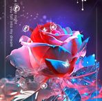 Arif sultan  - Facebook