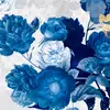 Aarifah_Baksh1 - @aarifah_baksh1 - TikTok
