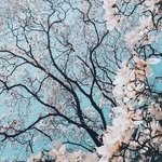 ¬ - @arifa_omar3 - Instagram