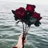 Arifa Omar - @user888987892 - TikTok