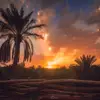 omararifai - @omararifai - TikTok