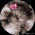 Ariful Karim - @ariful.karim.414808 - Instagram