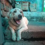 Arijit Das - @cherrysin9.8_ - Instagram