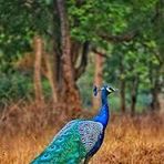 Arijit De - Facebook