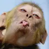 arijit - @arijitsaha9083 - TikTok