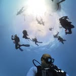 Aris Santos - @diver_aris - Instagram