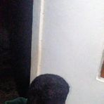 Aris Santos - Facebook