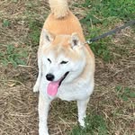 Arisa Watanabe - @arswtnb910 - Instagram