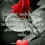 Aristeo Gonzalez - @aristeo.gonzalez.5832 - Instagram