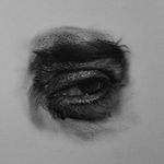 Aritra Paul - @worlfd_ - Instagram