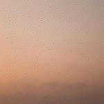 Eilene Epple - @arjunabraham830 - Instagram