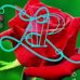 Arjun Chandra - Facebook