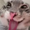 RUBY_Girl - @arjun_jain098 - TikTok