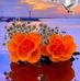 Arjun Joseph - Facebook