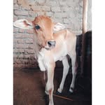 Arjun Magar - @__arjun_magar__ - Instagram