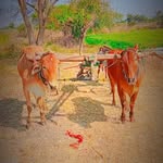 Arjun mande - @arjunmande97 - Instagram
