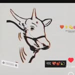 @arjunmande137 - Instagram
