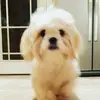 arjtheboss - @arjunmann - TikTok