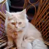 Arjun Nayak - @arjunnayak61 - TikTok