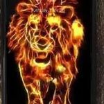 @arjunsaigal2023 - Instagram