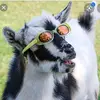 arjunsatish - @insideyo0urmum - TikTok