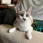 Arlene Fox - @arlenefox98 - Instagram