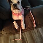 Arleen Young Anderson - Facebook