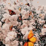 Arlene Young - @arleneyoung9029 - Instagram