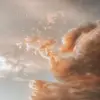 Arlen Johnson - @user8850084993208 - TikTok