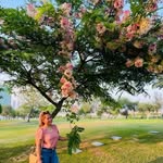 Arlene Abella - @abell_aarlene - Instagram