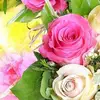 Arlene Barry629 - @arlenebarry629 - TikTok