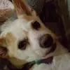 arlenebates - @arlenebates - TikTok