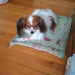 Arlene Best - @arlene.best.96 - Instagram