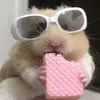 Arlene is the best of all - @arlene.best.of.all - TikTok