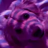 Arlene the best of all - @arlene.the.best.of.all - TikTok