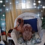 Earlene Bloom Moberly - @earlenebloommoberly6 - Instagram