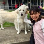 @arlene.chan - Instagram