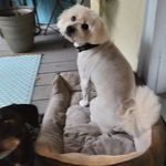 Arlene Knotts Coates - @arlene.coat - Instagram