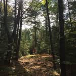 Arlene Cooper - @arlene.cooper.7 - Instagram