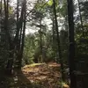 arlenecooper925 - @arlenecooper925 - TikTok