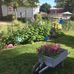 Arlene Crow - Facebook